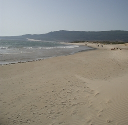 Bolonia Beach