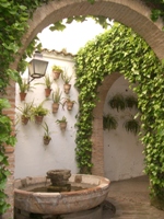 Courtyards of the Viana Palace